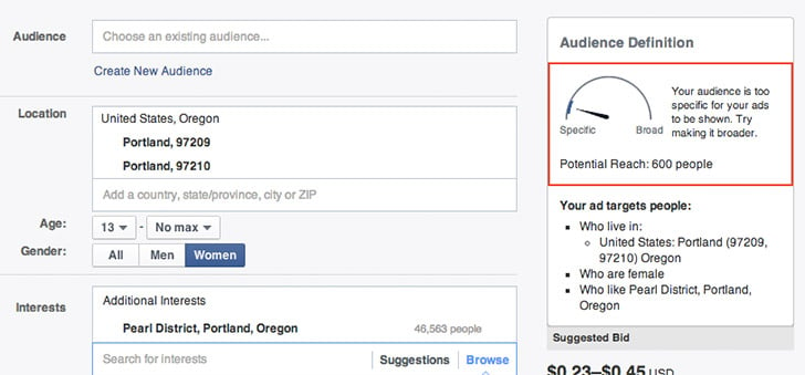 Facebook Audience Targeting form