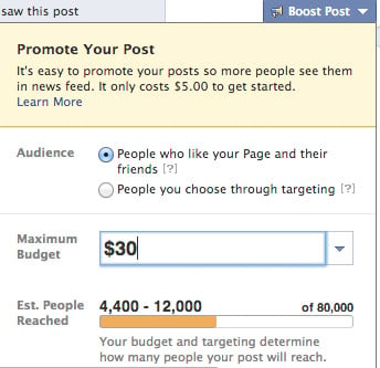 Facebook Promote Your Post form